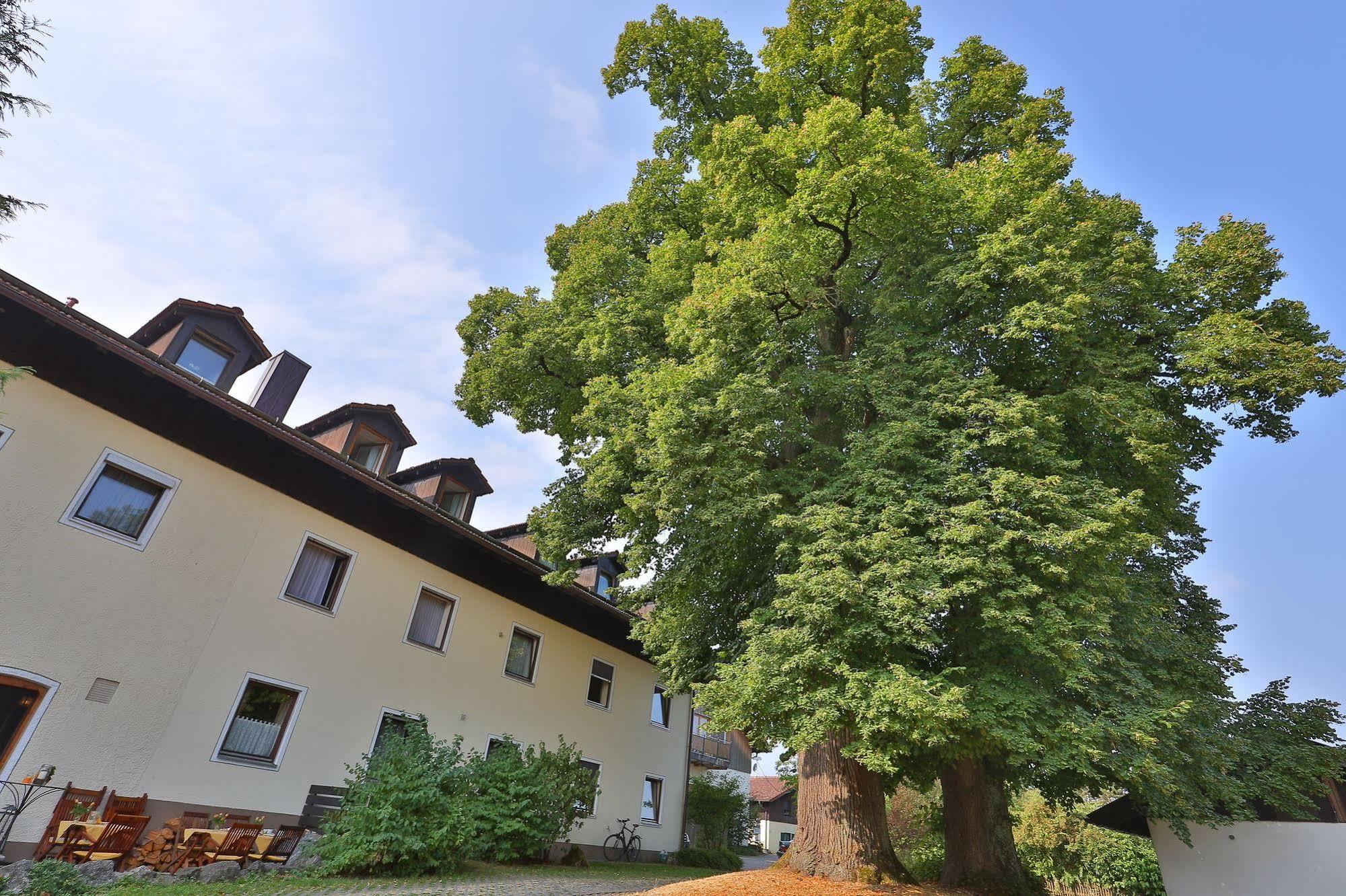 Hotel Bockmaier Oberpframmern Exteriör bild